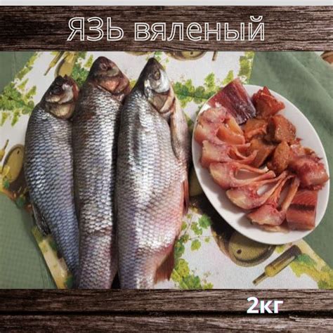 Рыба вяленая, сушеная, вяленый Язь, 2кг, рыба к пиву - купить с ...