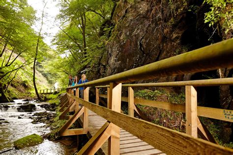 Wandertour In Der Vulkaneifel Tal Der Wilden Endert Ulmen Cochem