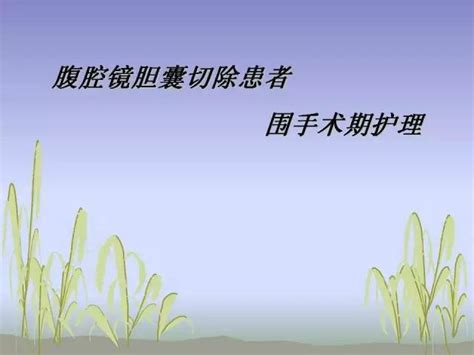 【ppt】腹腔镜围手术期护理