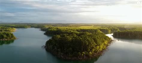 Confira A Lista Dos 10 Maiores Rios Brasileiros