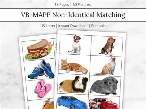 Vb Mapp Non Identical Matching Aba Materials And Flashcards Printable