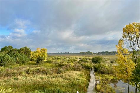 Woodland Dunes Nature Center and Preserve