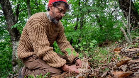 Piantare Alberi A Distanza L Idea Regalo Ecologica Di Treedom Vanity