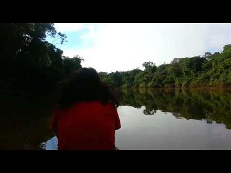 Río Yavarí Perú YouTube