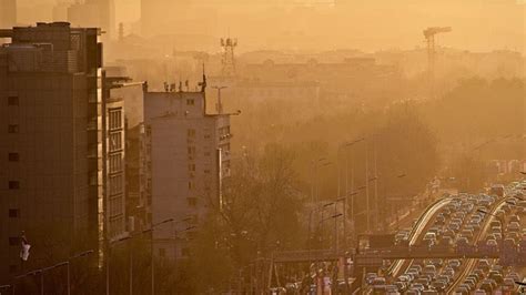 Air Pollution Reducing Life Expectancy By Two Years Report Agriland Ie