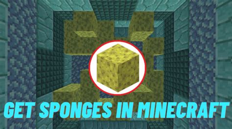 How To Get Sponges In Minecraft Nov 2023 Ricky Spears