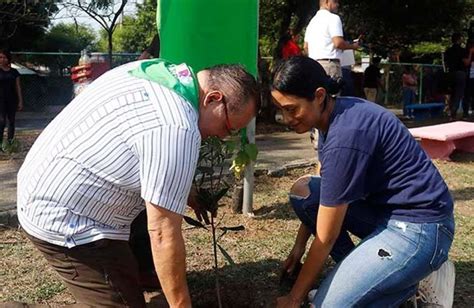 Campaña Verde que te quiero Verde prevé plantar 26 millones de