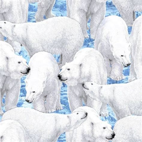 Polar Bear Fabric By Half Yard Northern Lights Bear Quilting Fabric Polar Bear Nature