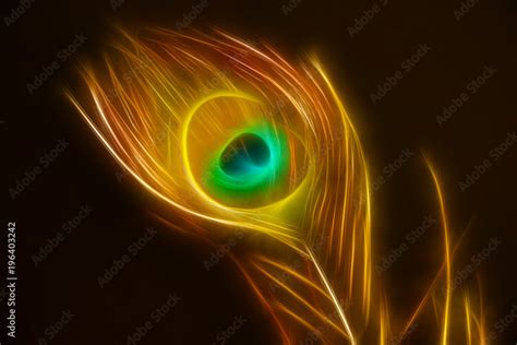 phoenix, bird feather Stock Illustration | Adobe Stock