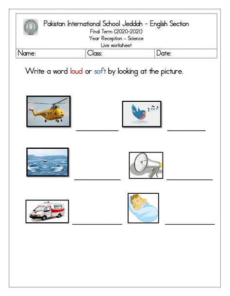 Sources Of Sound Live Worksheet Worksheet Live Worksheets