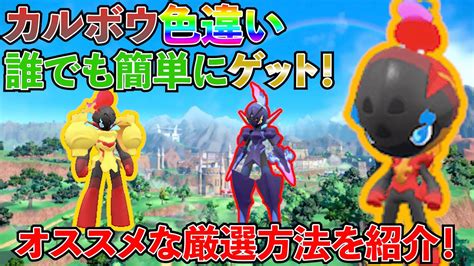 【ポケモンsv】誰でも簡単にカルボウの色違い厳選する方法を紹介！【スカーレット・バイオレット】 Youtube