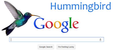 Google Hummingbird Update: Adapting to the New SEO Landscape - Ready to Run Designs