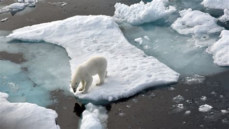 Folgen Des Klimawandels In Deutschland Noch Abzumildern