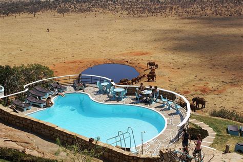 Voi Safari Lodge Updated 2022 Prices And Reviews Kenyatsavo National