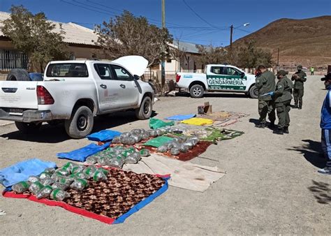 Salta Imputan Con Prisi N Preventiva A Un Ciudadano Boliviano Detenido