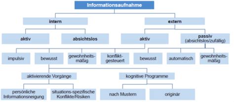 Kognitive Prozesse Karteikarten Quizlet