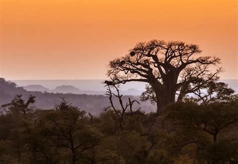 Selbstfahrer Mietwagenrundreisen S Dafrika Namibia Botswana