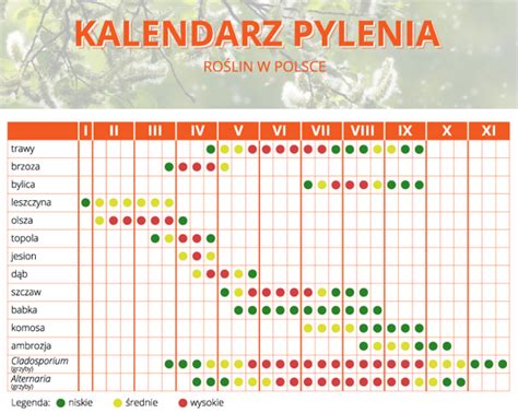 Co Pyli W Czerwcu Kalendarz Dla Alergik W Halowies