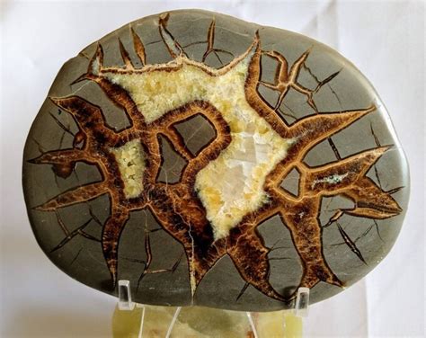 Septarian Nodule Slab Etsy