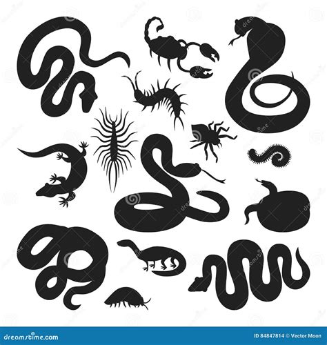 Snakes Silhouette Set Different Posters With Exotic Snakes Wild