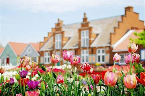 Plan A Trip To Holland For Tulip Time This Spring - LittleGuide Detroit