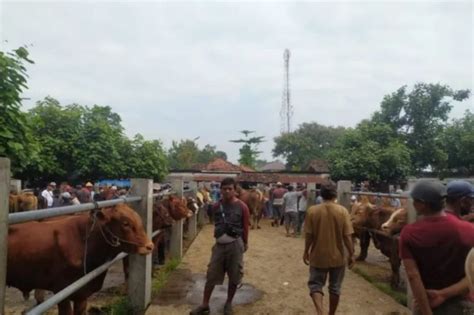 Pemkab Ponorogo Berlakukan Penyekatan Hewan Ternak Di 10 Titik Cegah