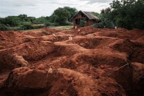 Seita Do Jejum Ap S Mais De Mortes Justi A Do Qu Nia Acusa