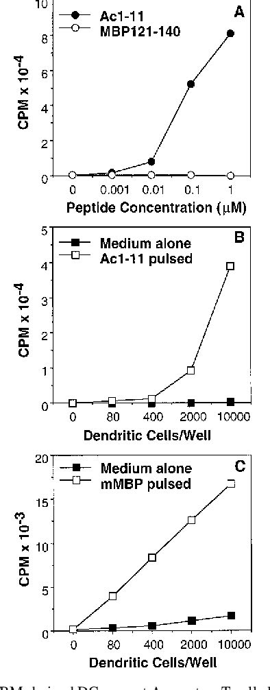 Figure 1 From EncephalomyelitisExperimental Autoimmune Protein By