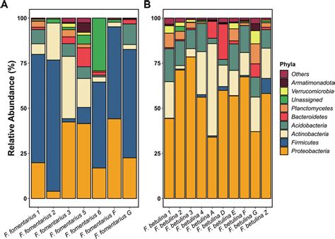 Taxa Barplot Representing Relative Abundances Of The Dominant