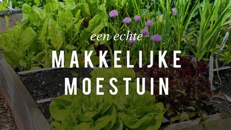 Een Echte Makkelijke Moestuin YouTube