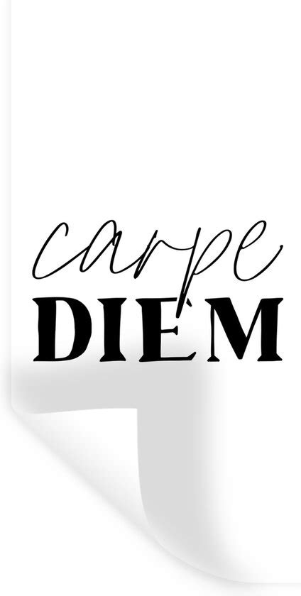 Muurstickers Quotes Pluk De Dag Spreuken Carpe Diem 20x40 Cm