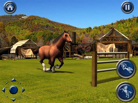 Horse Simulator 3D - Horse Games Online