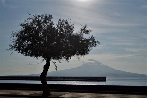 Faial Vue Sur Pico Luco Flickr