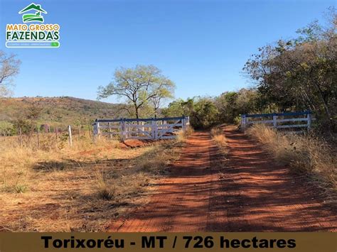 Mato Grosso Fazendas Fazenda De 150 Alqueires 726 Hectares Em