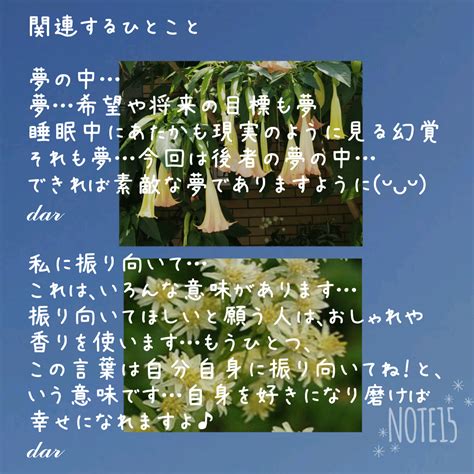 今日の花たち94 花言葉 ダチュラ 愛嬌･偽りの魅力･変装･夢の中･あなたを酔わせる･素敵な恋人 ソリダスター 私に振り向いて･豊富な知識 関連するひとこと｜だー