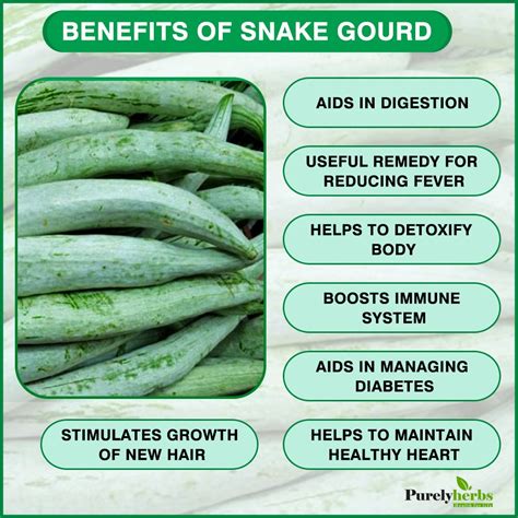 Snake Gourd Potassium Content Angel Vegetable