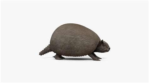 Glyptodon model - TurboSquid 2148754