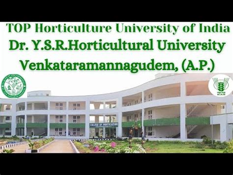 Dr Y S R Horticultural University Venkataramannagudem A P Dr