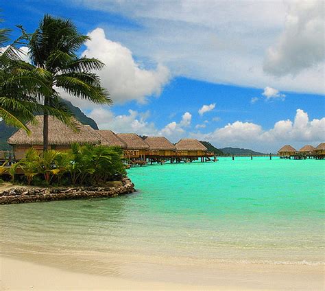 1920x1080px 1080p Free Download Bora Bora Vacation Beach Bora Bora