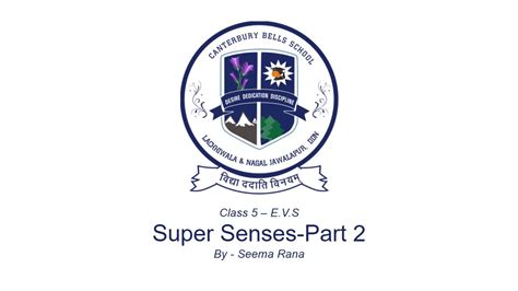 EVS Class 5th Chapters 1 Super Senses Part 2 With Assignment YouTube