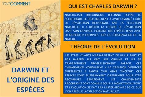 Darwin Et L Origine Des Esp Ces Th Orie Du Darwinisme Et Th Orie De L