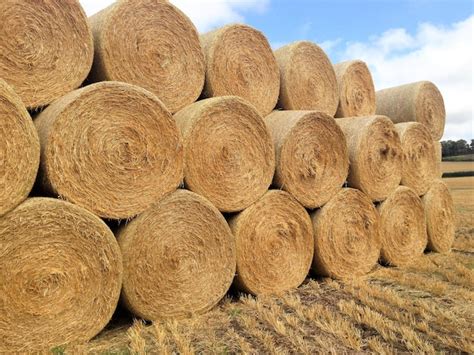 Premium Photo Stack Of Hay Bales On Field