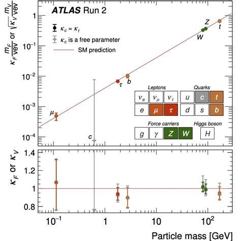 Anni Di Bosone Di Higgs Atlas