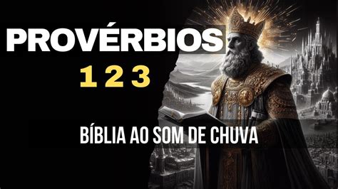 PROVÉRBIOS 1 2 e 3 Palavra de Deus Bíblia Falada ao Som de Chuva