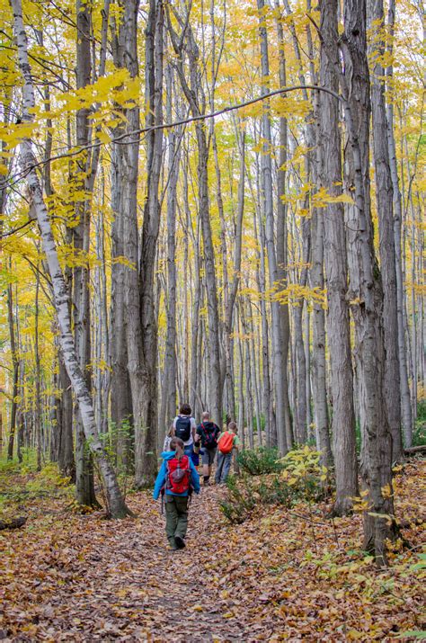 Hiking the Niagara Escarpment: Top 10 Hikes - The Driftwoods Family