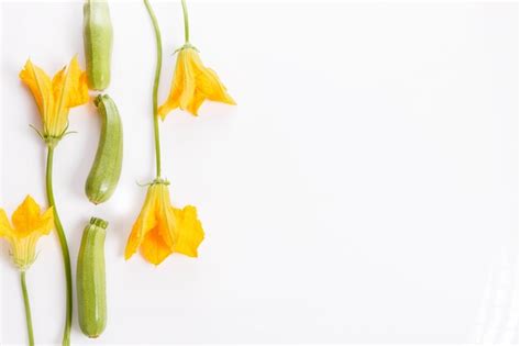 Calabacín verde fresco con flores y hojas sobre fondo blanco el