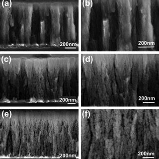 Cross Sectional Fesem Images Showing The Different Morphology Of The