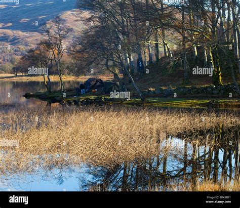 Camping at Loch Awe, Argyll, Scotland Stock Photo - Alamy