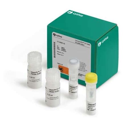 Cytiva GenomiPhi HY DNA Amplification Kit Reactivos y kits de biología