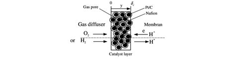 schematic   catalyst layer  scientific diagram